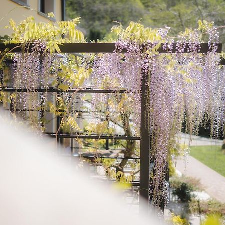 Agriturismo La Valle Di Vico 카프라롤라 외부 사진