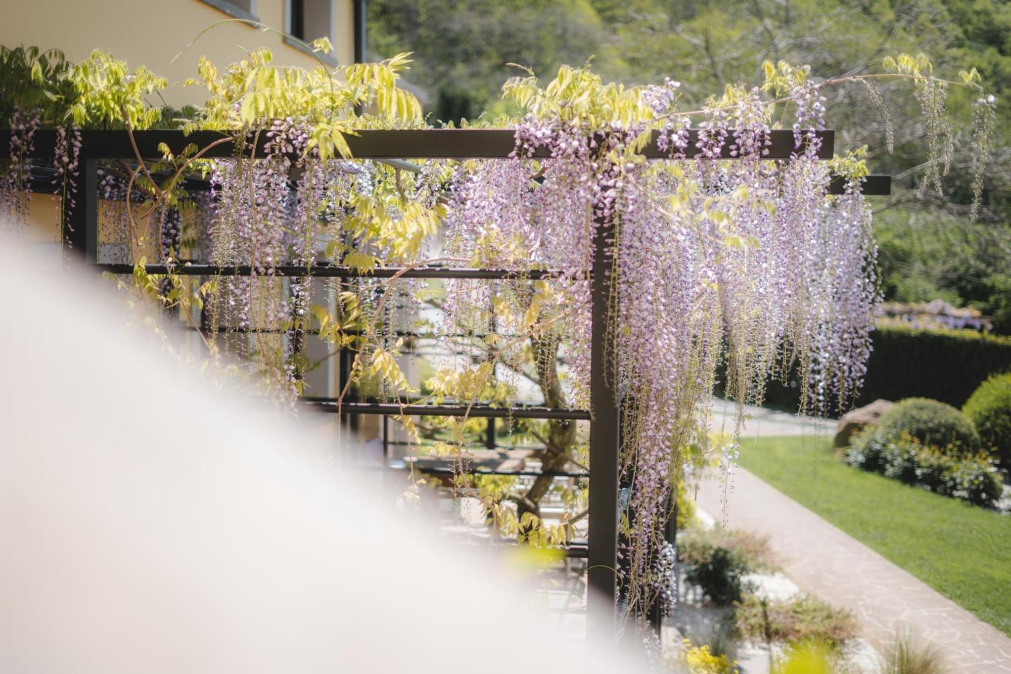 Agriturismo La Valle Di Vico 카프라롤라 외부 사진